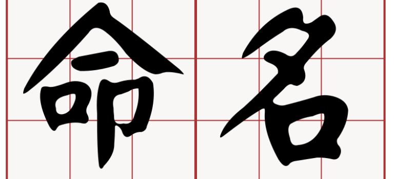命名